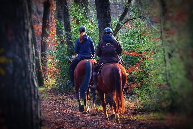 8 Tipps zum sicheren Ausreiten – So macht Reiten in der Natur richtig Spaß